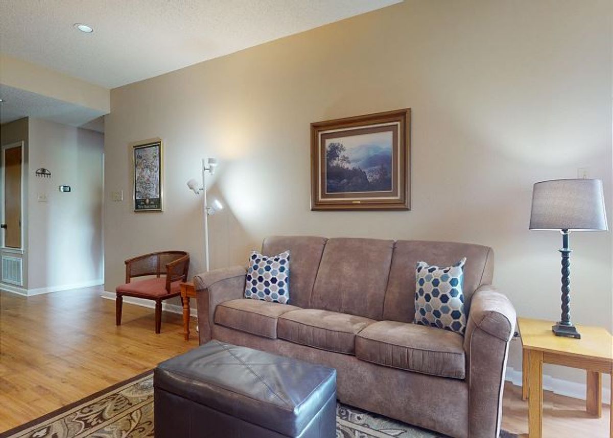 Living room with sleeper sofa